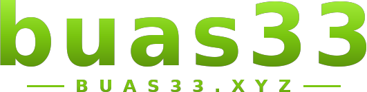 buas33 logo